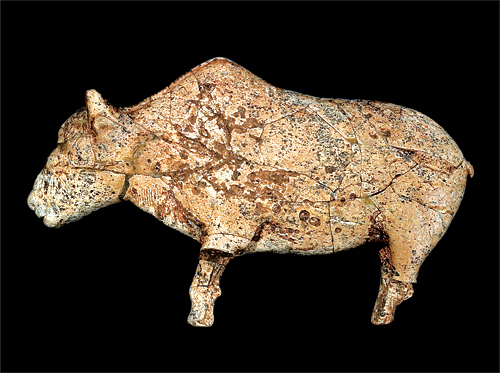 Palaeolithic studies in Zaraysk, Zaraysk bison, bisone from Zaraysk, Ice age bison, Palaeolithic Art
