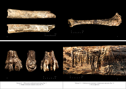 Palaeolithic studies in Zaraysk, Zaraysk mamoth bones